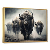 Grey Buffalo Gentle Guardians I - Animals Canvas Wall Art