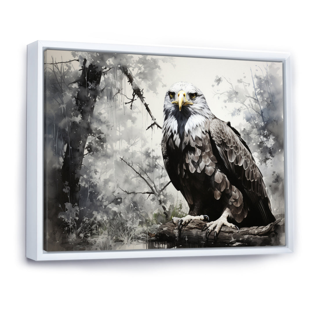 Grey Eagle Shadows Of Serenity - Eagle Framed Canvas Art