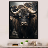 Brown Buffalo Whispers Of The - Buffalo Canvas Wall Art