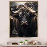 Brown Buffalo Whispers Of The - Buffalo Canvas Wall Art