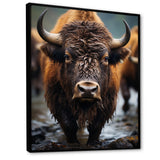 Buffalo National Photo - Bison Wall Art Prints