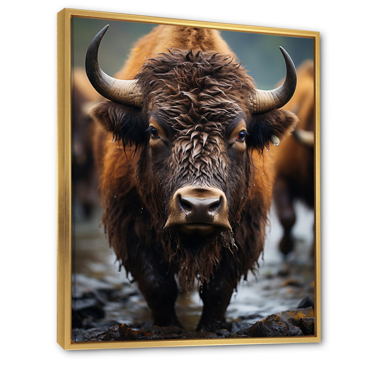 Buffalo National Photo - Bison Wall Art Prints