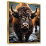 Buffalo National Photo - Bison Wall Art Prints