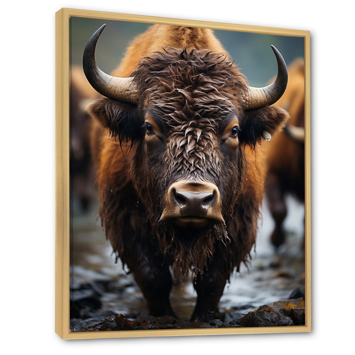 Buffalo National Photo - Bison Wall Art Prints