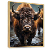Buffalo National Photo - Bison Wall Art Prints