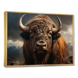 Buffalo Portrait - Animals Canvas Wall Art