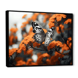 Coral Black Butterfly Fluttering Grace - Coral Butterfly Wall Art