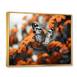 Coral Black Butterfly Fluttering Grace - Coral Butterfly Wall Art