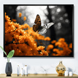 Orange Grey Butterfly Fluttering Grace - Orange Butterfly Wall Art