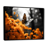 Orange Grey Butterfly Fluttering Grace - Orange Butterfly Wall Art