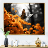 Orange Grey Butterfly Fluttering Grace - Orange Butterfly Wall Art