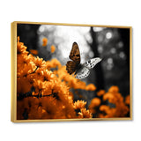 Orange Grey Butterfly Fluttering Grace - Orange Butterfly Wall Art