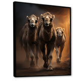 Camels Desert Symphony - Camel Wall Decor