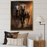 Camels Desert Symphony - Camel Wall Decor