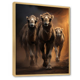 Camels Desert Symphony - Camel Wall Decor