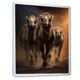Camels Desert Symphony - Camel Wall Decor