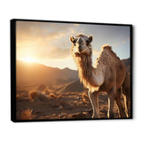 Camel Dusk Serenade - Beige Camel Wall Art