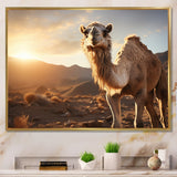 Camel Dusk Serenade - Beige Camel Wall Art