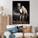 Camel Graceful Steps - Camel Framed Canvas Art