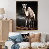 Camel Graceful Steps - Camel Framed Canvas Art