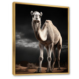 Camel Graceful Steps - Camel Framed Canvas Art