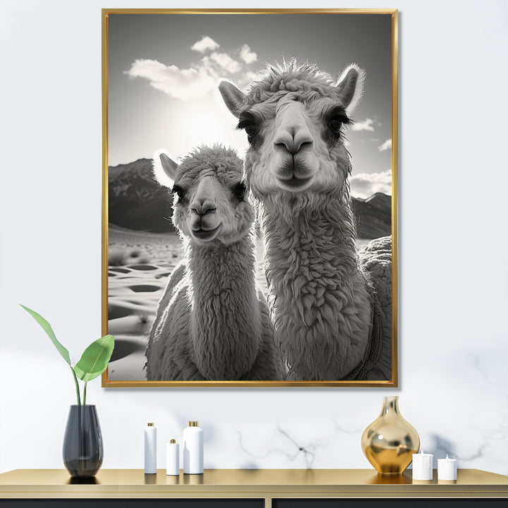 Camel Harmony In Monochrome - Camel Large Canvas Wall Art