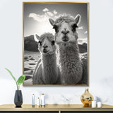 Camel Harmony In Monochrome - Camel Large Canvas Wall Art