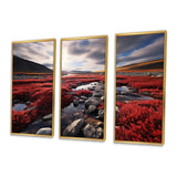 Canada Canadian Tundra III - Multi-Panel Canvas Prints