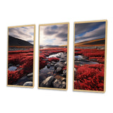 Canada Canadian Tundra III - Multi-Panel Canvas Prints