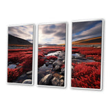Canada Canadian Tundra III - Multi-Panel Canvas Prints