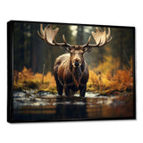 Canada Majestic Moose III - Landscapes Canvas Wall Art