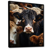Cattle Animal - Cattle Canvas Wall Art