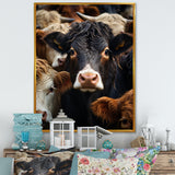 Cattle Animal - Cattle Canvas Wall Art