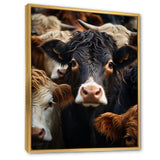 Cattle Animal - Cattle Canvas Wall Art