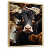 Cattle Animal - Cattle Canvas Wall Art