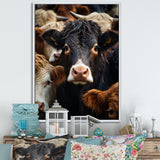 Cattle Animal - Cattle Canvas Wall Art