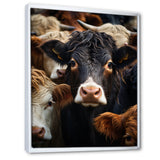 Cattle Animal - Cattle Canvas Wall Art