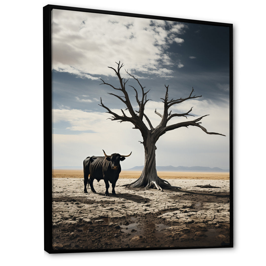 Cattle Guardians Of Deserts - Cattle Wall Art Prints