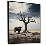 Cattle Guardians Of Deserts - Cattle Wall Art Prints