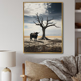 Cattle Guardians Of Deserts - Cattle Wall Art Prints