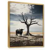 Cattle Guardians Of Deserts - Cattle Wall Art Prints
