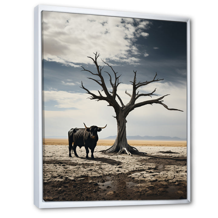 Cattle Guardians Of Deserts - Cattle Wall Art Prints
