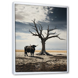 Cattle Guardians Of Deserts - Cattle Wall Art Prints