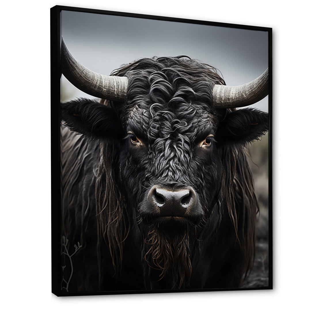 Cattle Majestic Horns - Cattle Framed Canvas Art