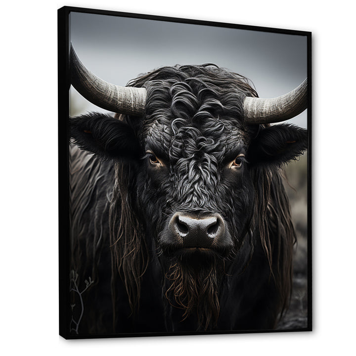 Cattle Majestic Horns - Cattle Framed Canvas Art