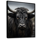 Cattle Majestic Horns - Cattle Framed Canvas Art