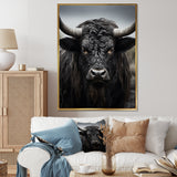 Cattle Majestic Horns - Cattle Framed Canvas Art