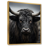 Cattle Majestic Horns - Cattle Framed Canvas Art