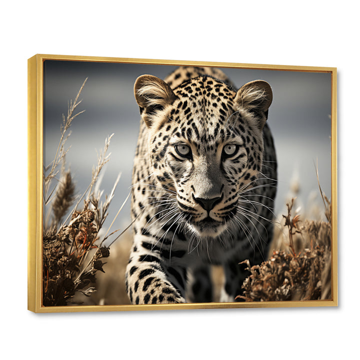 Sleek Cheetah Portrait - Cheetah Framed Canvas Art