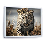Sleek Cheetah Portrait - Cheetah Framed Canvas Art